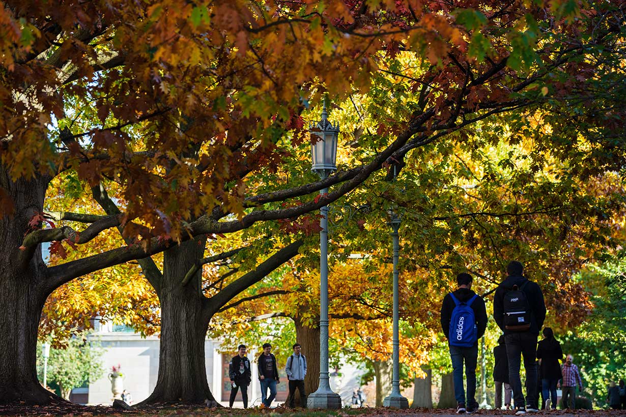 campus leaves turning in fall